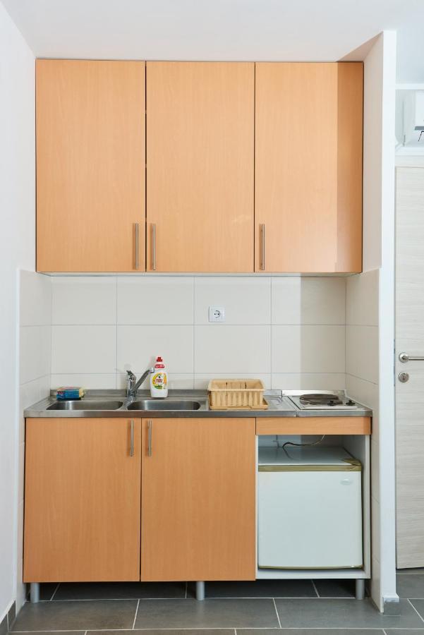 Sakota Family House Apartment Sremska Kamenica ภายนอก รูปภาพ