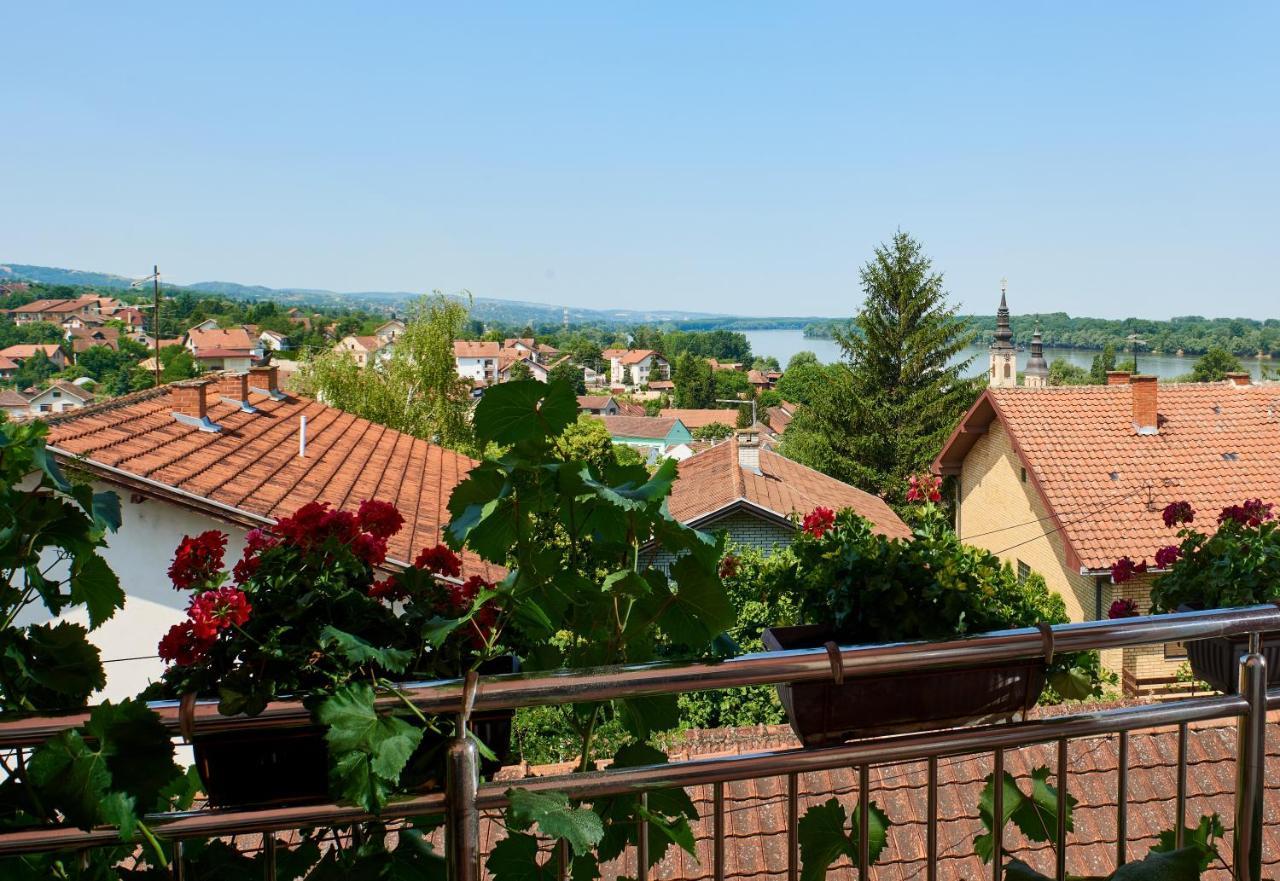 Sakota Family House Apartment Sremska Kamenica ภายนอก รูปภาพ