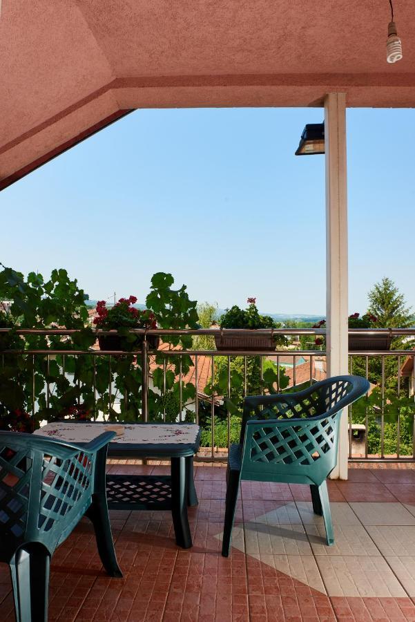 Sakota Family House Apartment Sremska Kamenica ภายนอก รูปภาพ