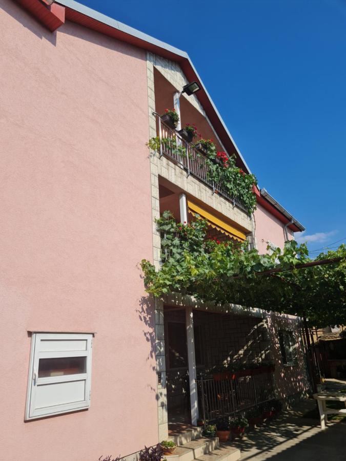 Sakota Family House Apartment Sremska Kamenica ภายนอก รูปภาพ