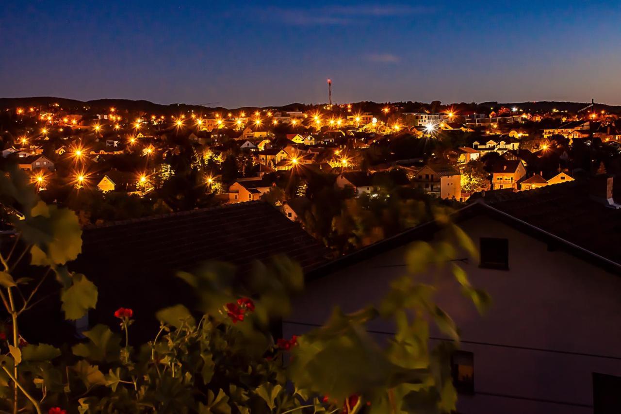 Sakota Family House Apartment Sremska Kamenica ภายนอก รูปภาพ